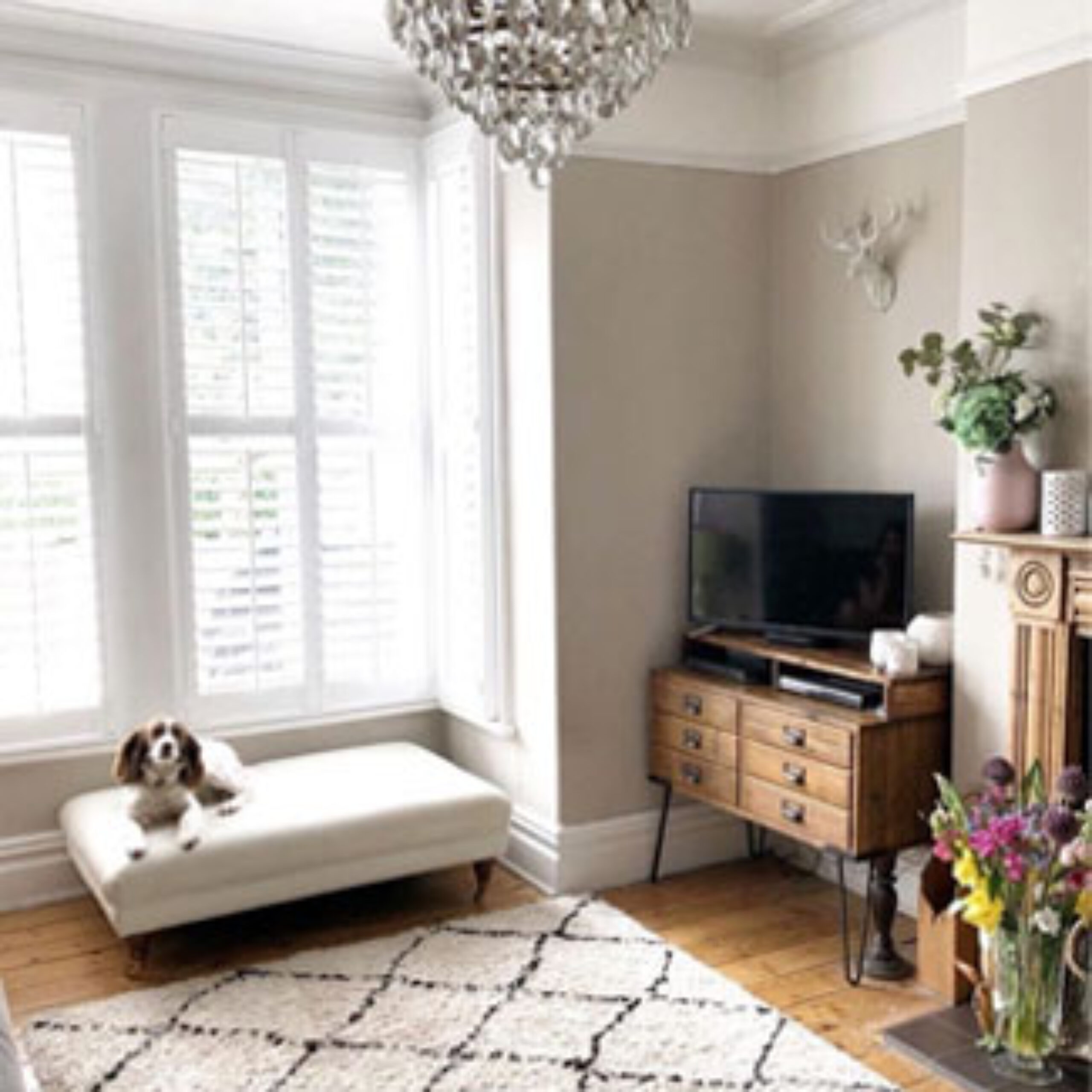 Living Room Shutters